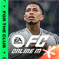 fifa online4本