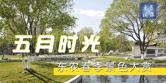 东北农业大学体育部