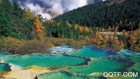 四川观察新闻热线